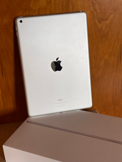 Apple - iPad