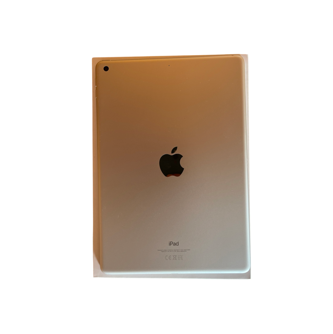 Apple - iPad